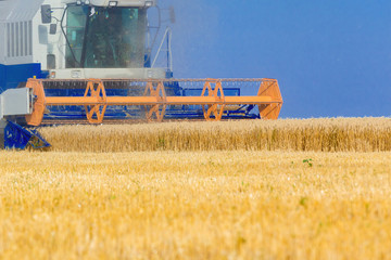 Combine harvester working