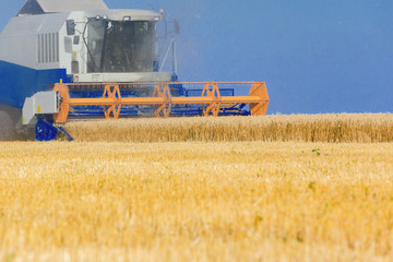 Fototapeta premium Combine harvester working