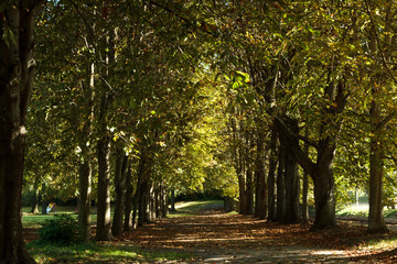 Naklejka premium Im Park..