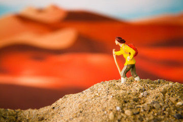 Tiny toy explore the desert