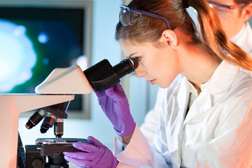 Life scientist researching in the laboratory.