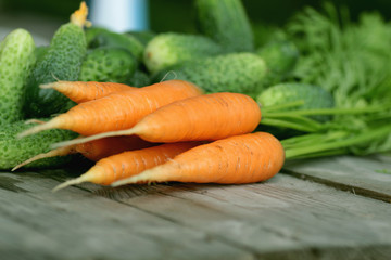 fresh crop of carrots and cucumbers