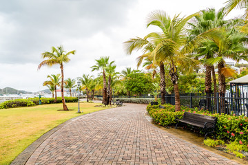 Walkway and Bench Among Palm Trees