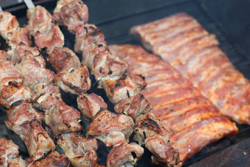 meat skewers on the barbecue coals