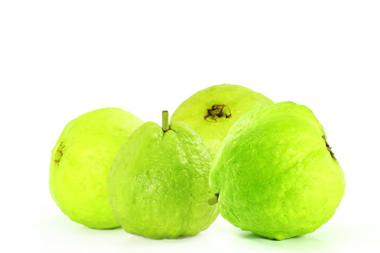 Guava green and fresh on pure white background