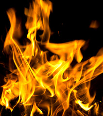 Flames of burning fire isolated on black background