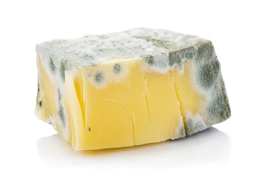 Foto op Aluminium Mouldy Cheddar Cheese © uwimages