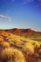 Australian landscape in Purnululu NP, Western Australia - obrazy, fototapety, plakaty