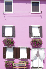 Fototapeta na wymiar Pink painted wall with several windows with wooden shutters and white awning, on the windowsill, a potted with flowers, at the island of Burano, Venice, Italy