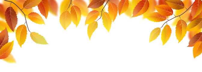 Naklejka na ściany i meble Autumn branches with leaves on white background