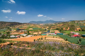 Fototapeta na wymiar Vegetable fields and Housein highland, Dalat, Vietnam. Da lat is one of the best tourism city in Vietnam. Dalat city is Vietnam's largest vegetable and flowers growing areas.