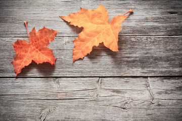 Naklejka na ściany i meble Autumn Leaves over wooden background