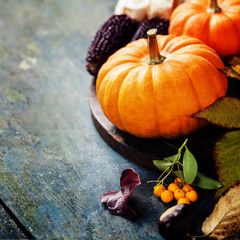 Autumn concept with seasonal fruits and vegetables