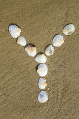 Fototapeta na wymiar alphabet made using sea shells on seamless sand background