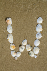 Fototapeta na wymiar alphabet made using sea shells on seamless sand background