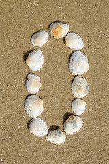 alphabet made using sea shells on seamless sand background