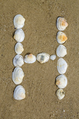 alphabet made using sea shells on seamless sand background