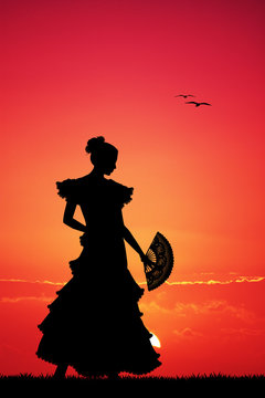 Flamenco silhouette at sunset