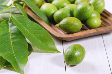 Young green walnuts