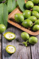 Young green walnuts