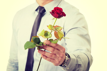 Handsome man holding red rose.