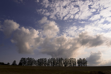 マイルドセブンの丘夕景