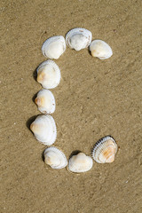 alphabet made using sea shells on seamless sand background