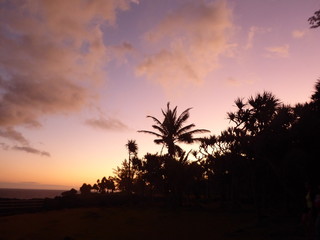 rivage de l'océan indien