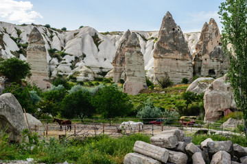 Horses on a colorful rock formations in Cappadocia, Turkey