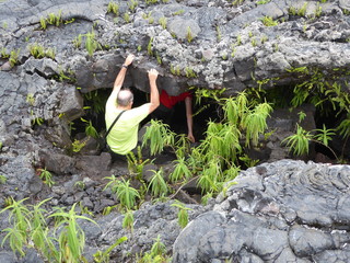 entrée d'un tunnel de lave, île de la Réunion