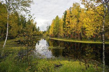 Fototapeta na wymiar Autumn landscape.