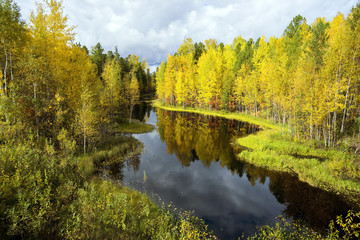 Autumn landscape with river.