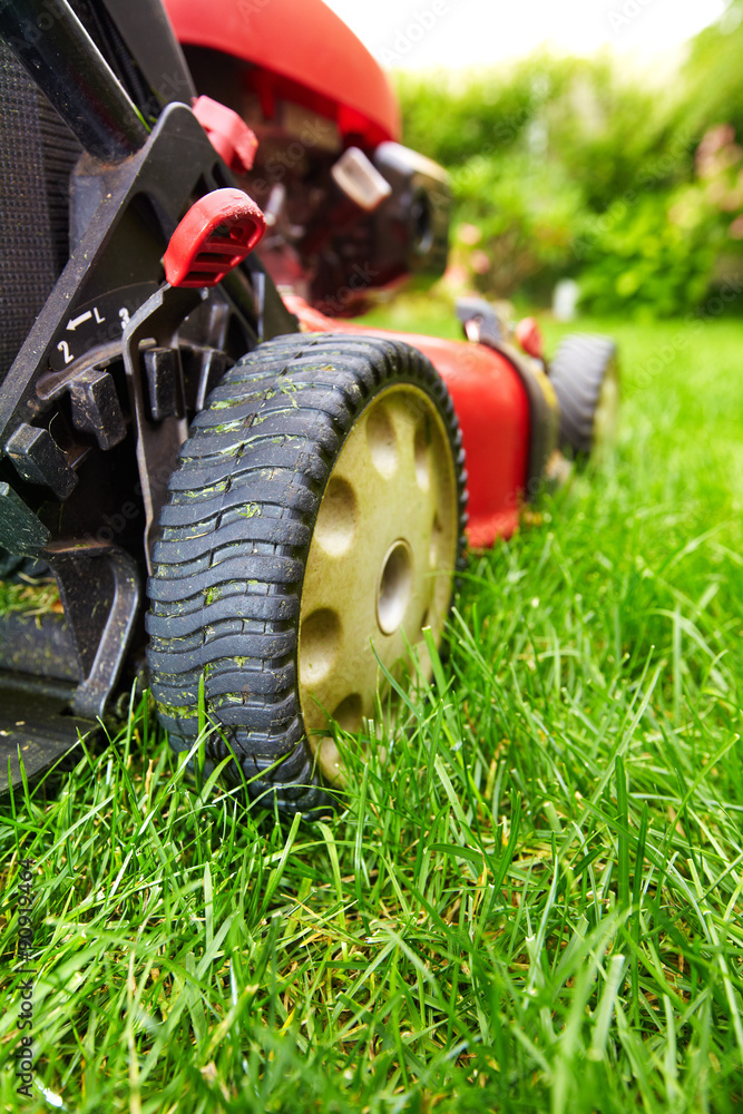 Sticker lawn mower.