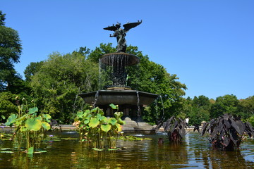 Central Park