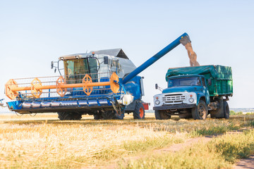 Fototapeta premium Combine harvester working