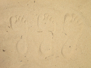 Footprints in the sand