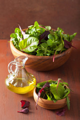 fresh salad leaves in bowl: spinach, mangold, ruccola