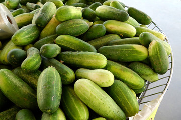 cucumbers at market