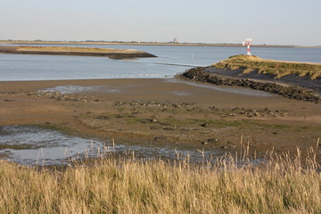 het Oosterscheldegebied 