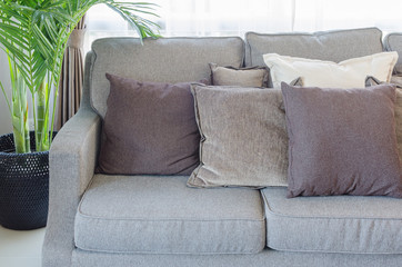 grey modern sofa with pillows and black vase of plants
