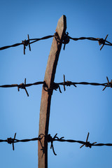 Barbwire fence detail