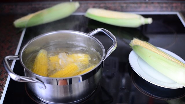 corn cooked in a pot on stove