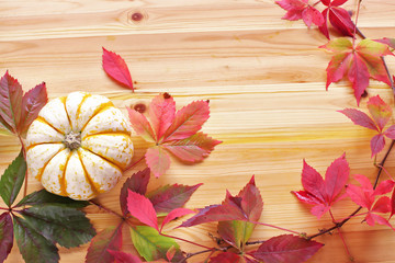 Fototapeta na wymiar Pumpkins with wild grapes leaves on wooden background. top view 