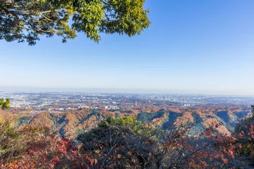 Foto op Canvas View from Mt. Takao in Autumn © Premium Collection