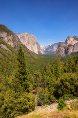 Fototapeta na wymiar Yosemite National Park,California