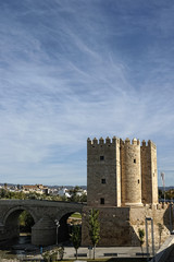 Obraz premium ciudades monumentales de Andalucía, Córdoba