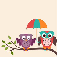 Fototapeta premium owl couple