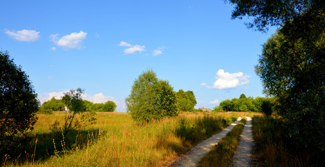 Obraz premium Летние пейзажи Брянщины 