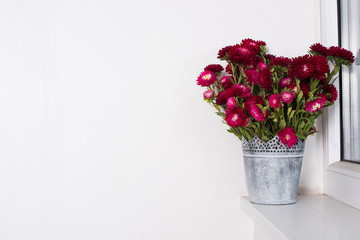 Fototapeta na wymiar Red flowers in metal vase