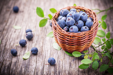 fresh blueberries in a little basket